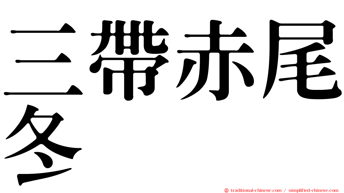 三帶赤尾冬