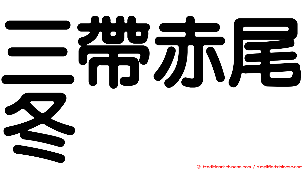 三帶赤尾冬