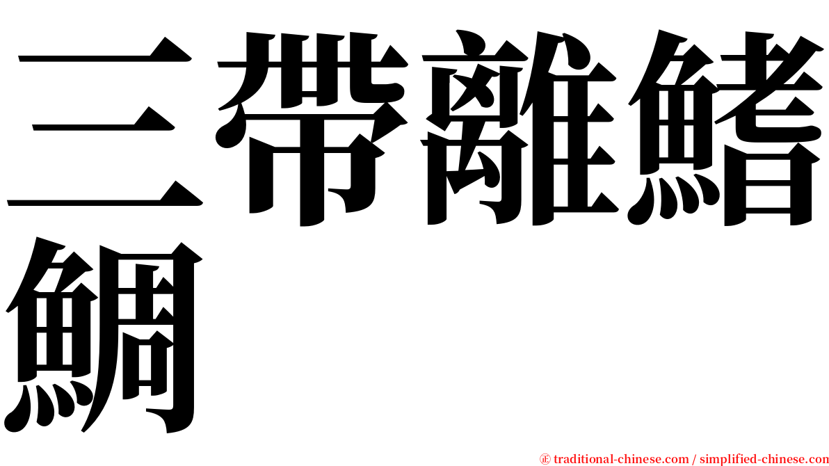 三帶離鰭鯛 serif font