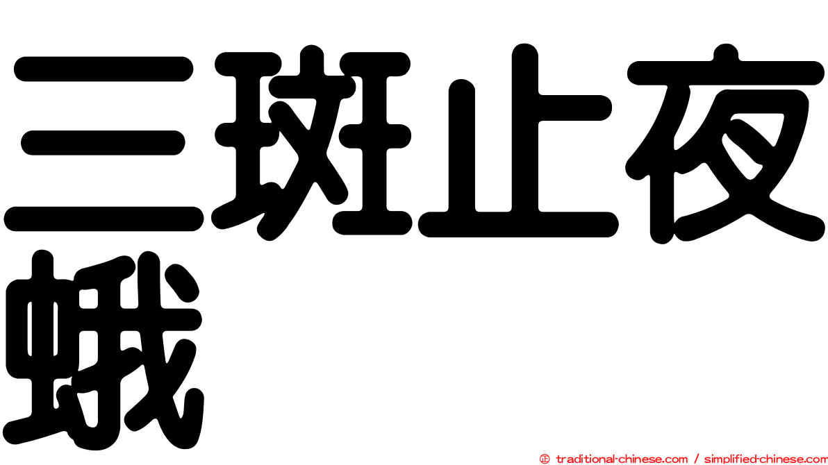 三斑止夜蛾