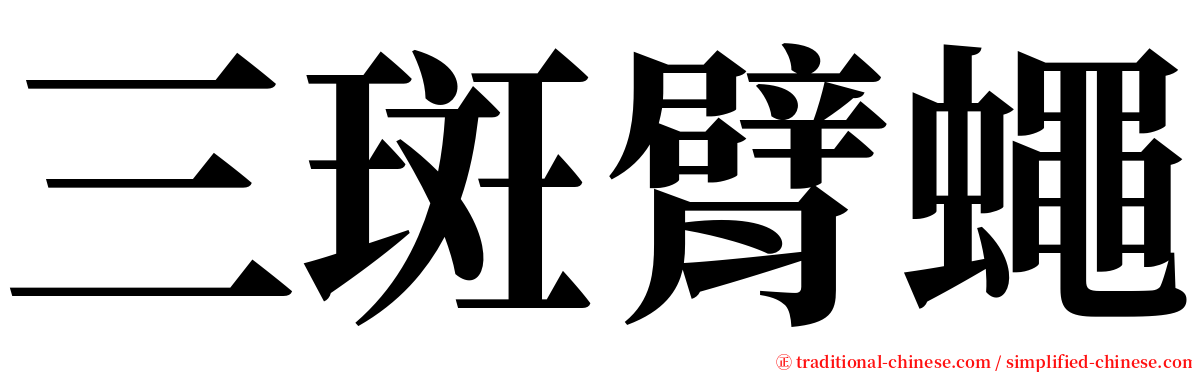 三斑臂蠅 serif font