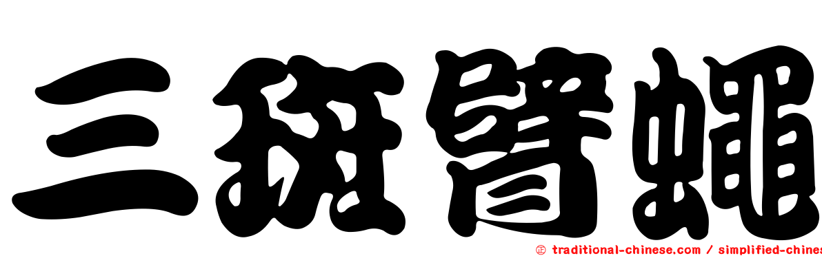 三斑臂蠅