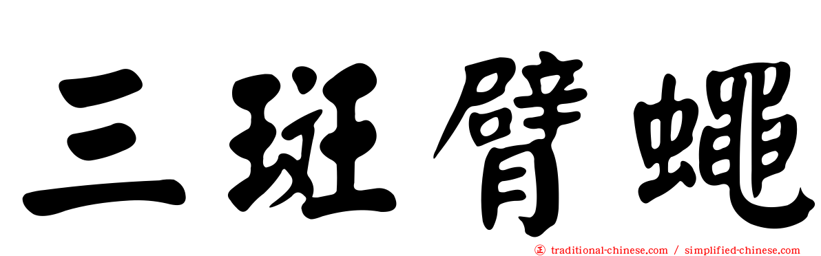 三斑臂蠅
