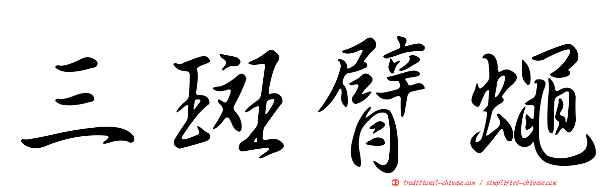 三斑臂蠅