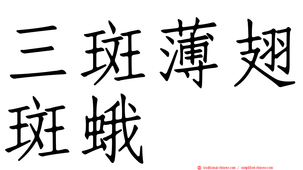三斑薄翅斑蛾