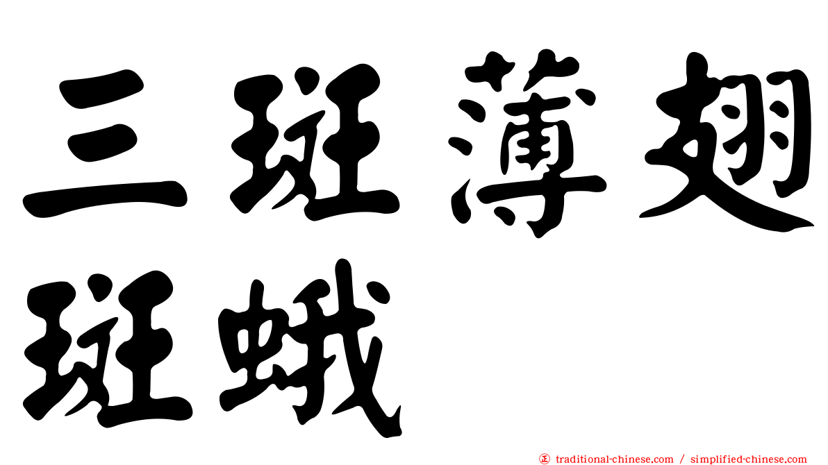 三斑薄翅斑蛾