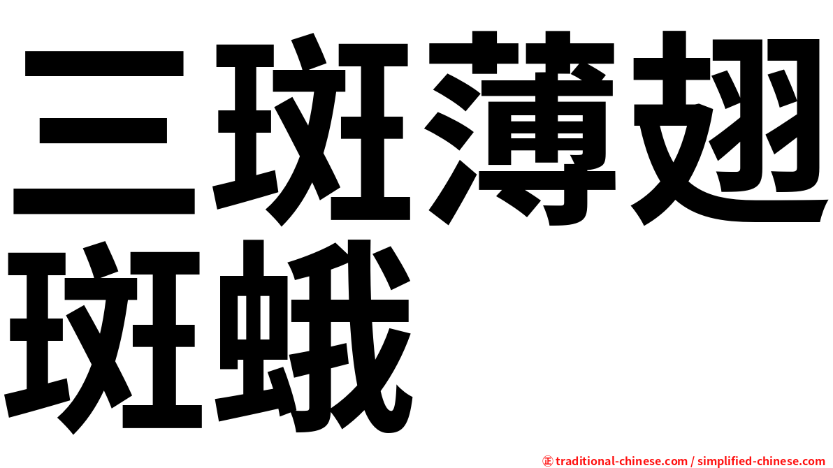 三斑薄翅斑蛾
