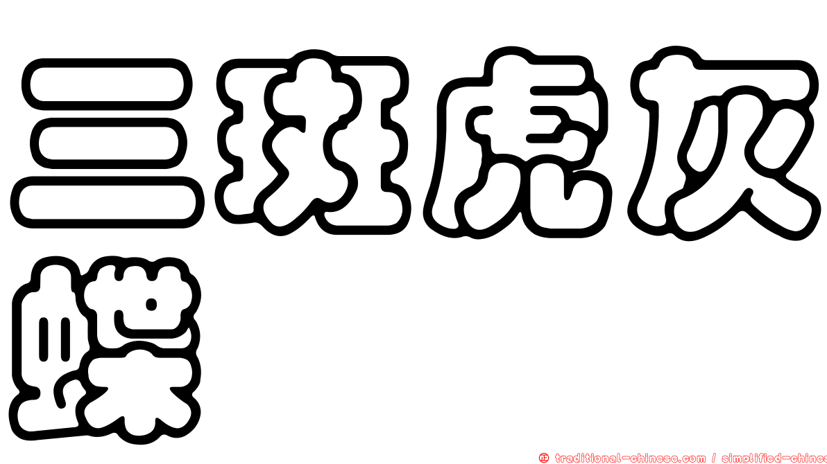 三斑虎灰蝶