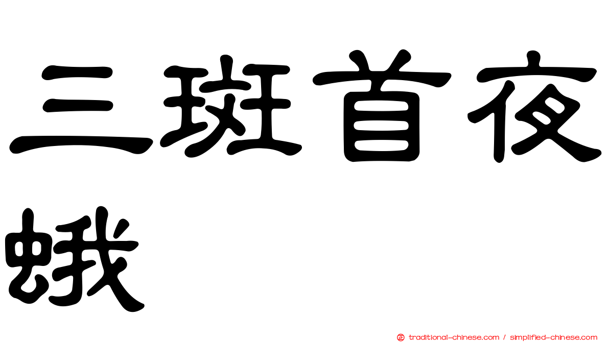 三斑首夜蛾
