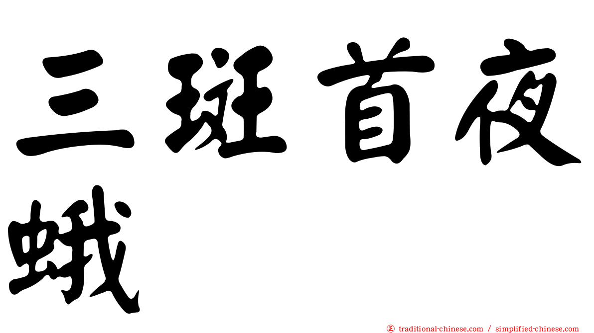 三斑首夜蛾