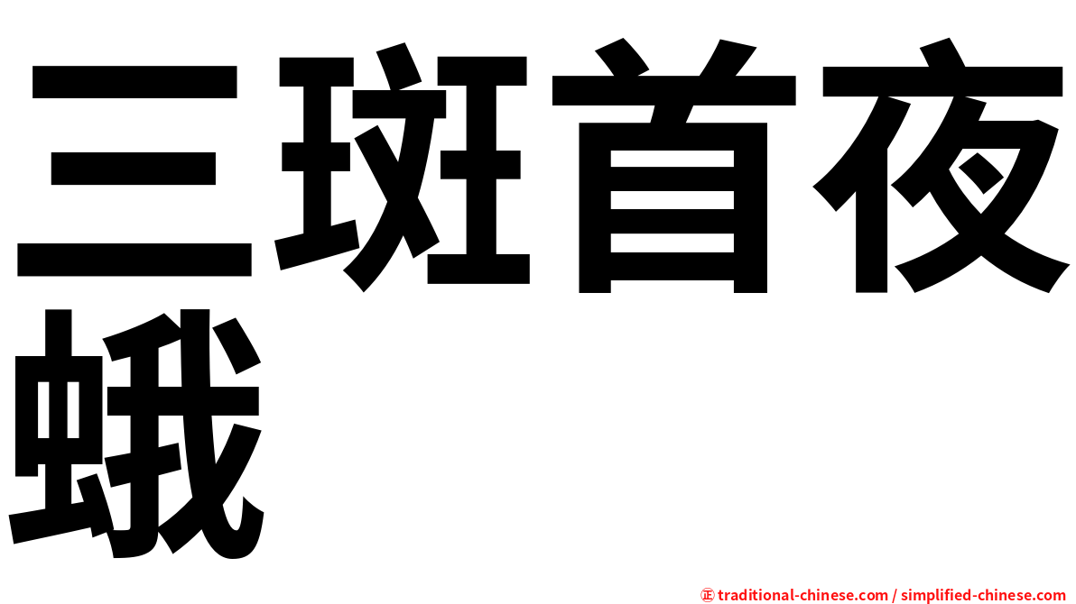 三斑首夜蛾