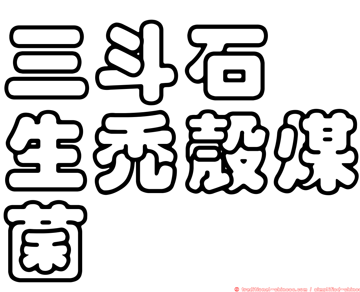 三斗石櫟生禿殼煤菌