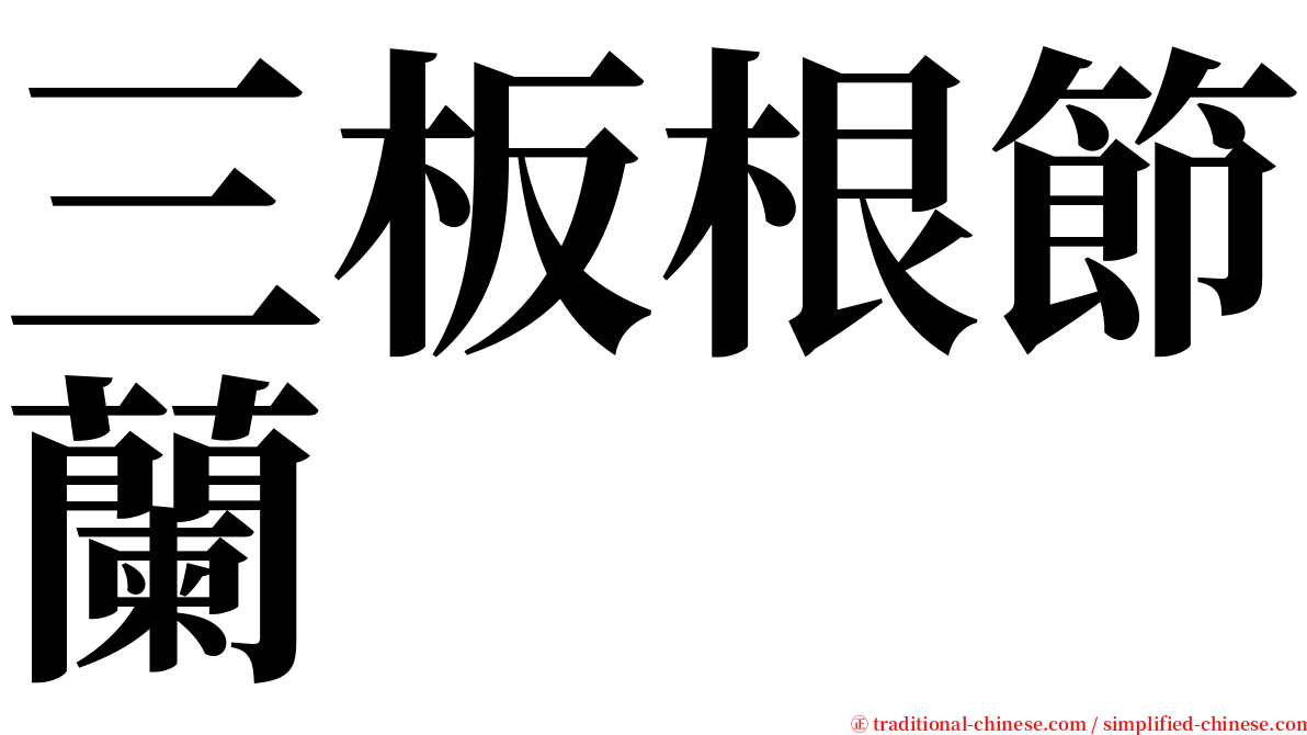 三板根節蘭 serif font