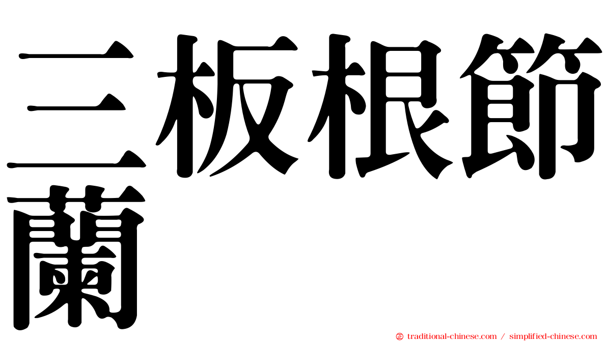 三板根節蘭