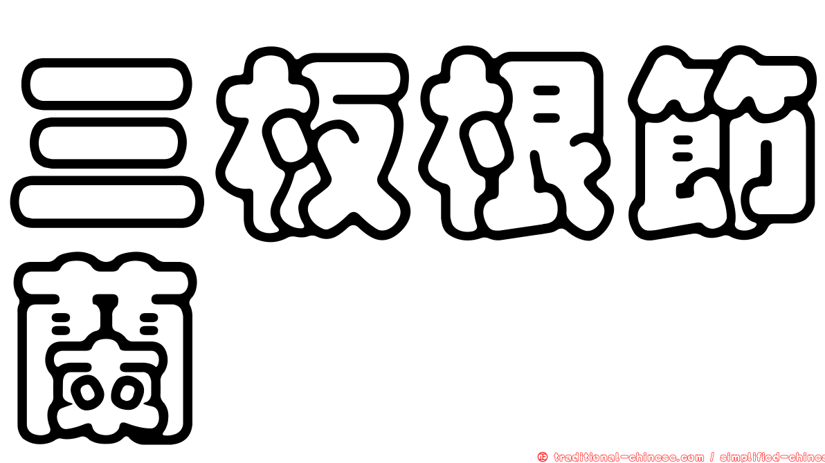 三板根節蘭