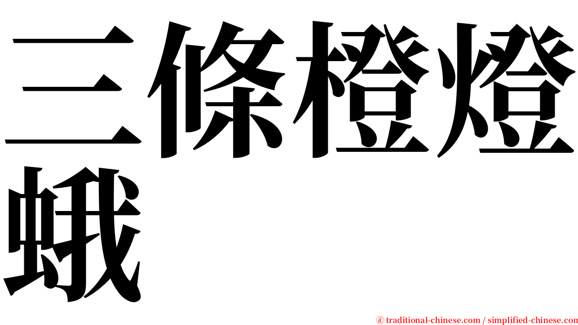 三條橙燈蛾 serif font
