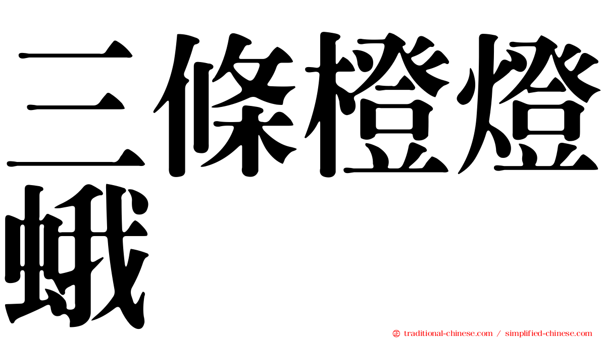 三條橙燈蛾