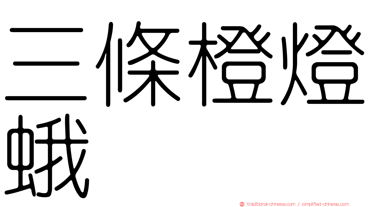 三條橙燈蛾