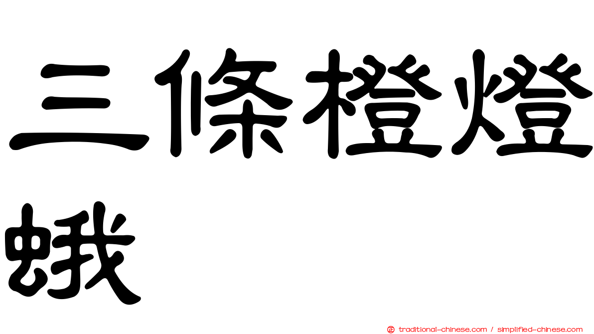 三條橙燈蛾