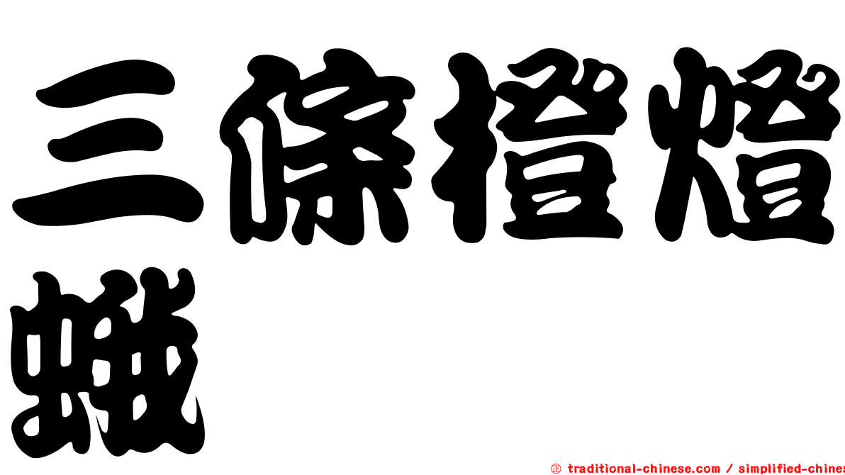 三條橙燈蛾