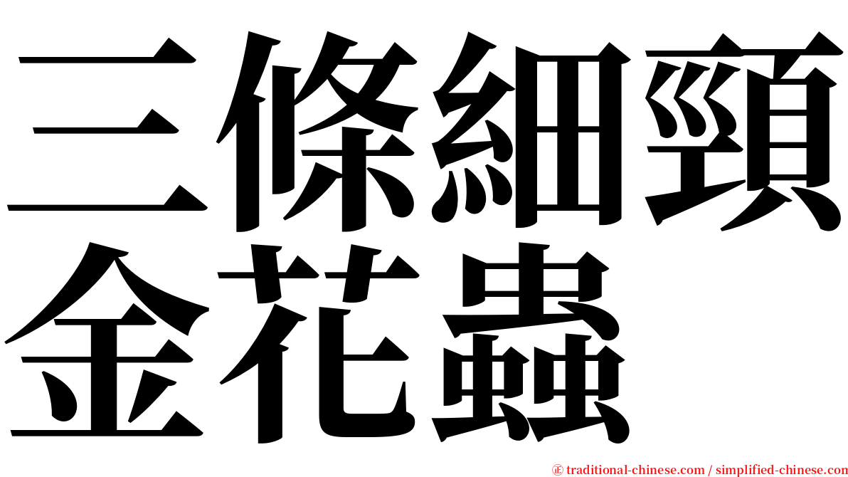 三條細頸金花蟲 serif font