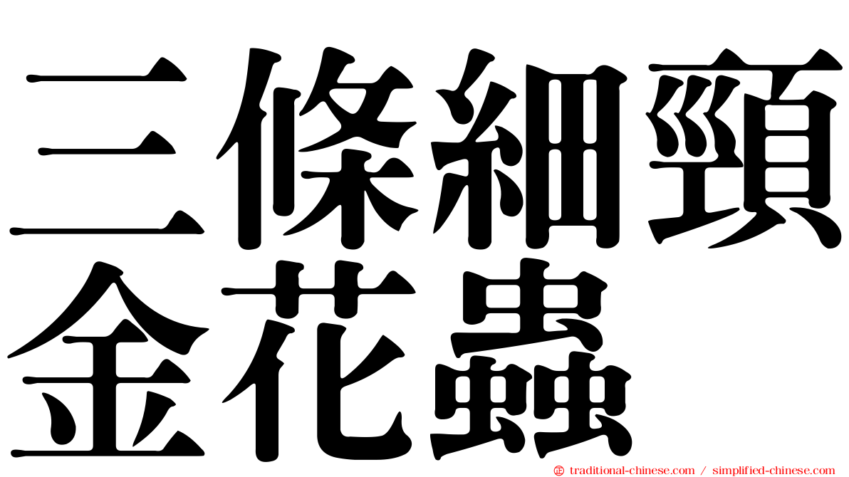 三條細頸金花蟲