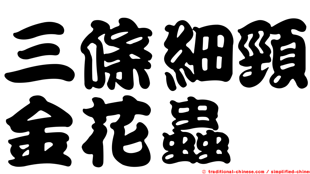 三條細頸金花蟲