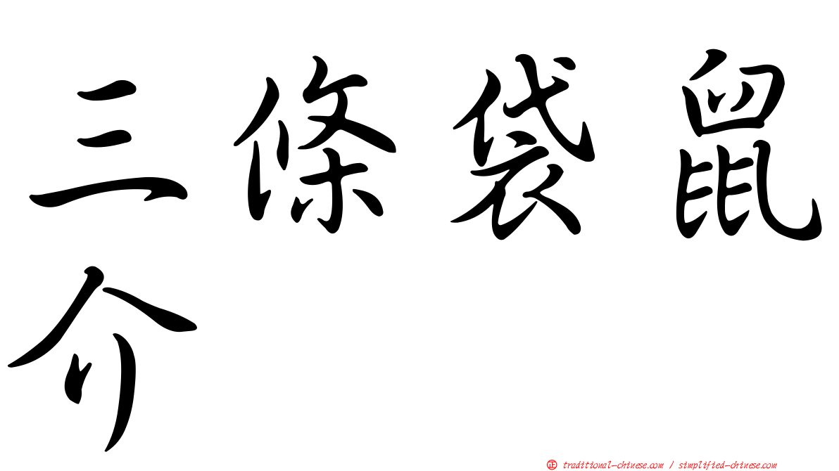 三條袋鼠介