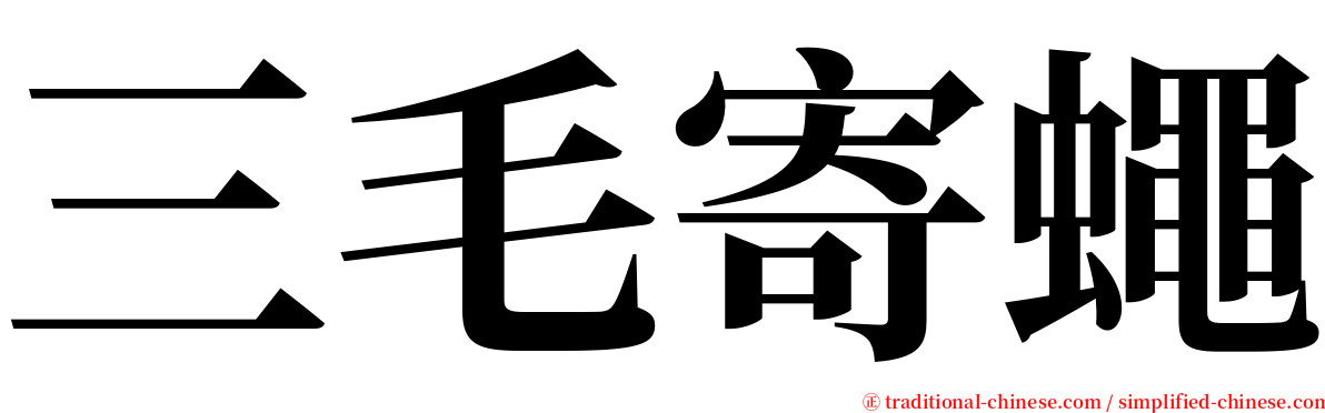 三毛寄蠅 serif font