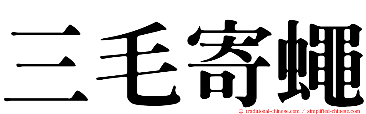 三毛寄蠅