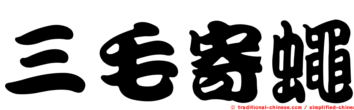三毛寄蠅