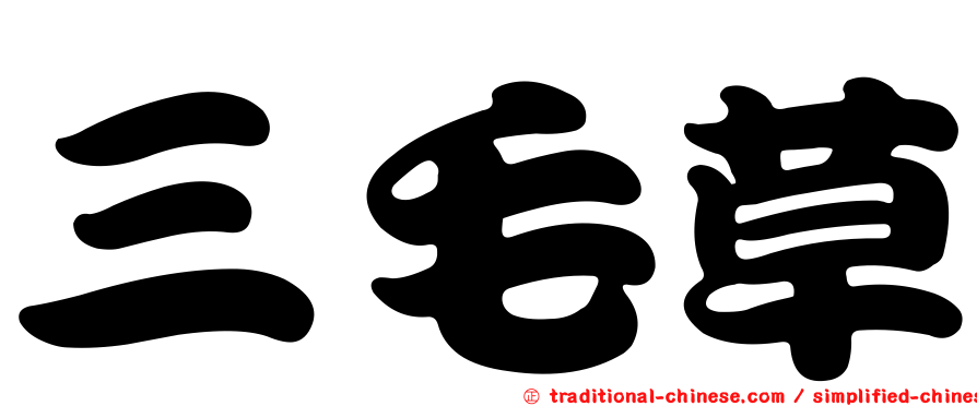 三毛草