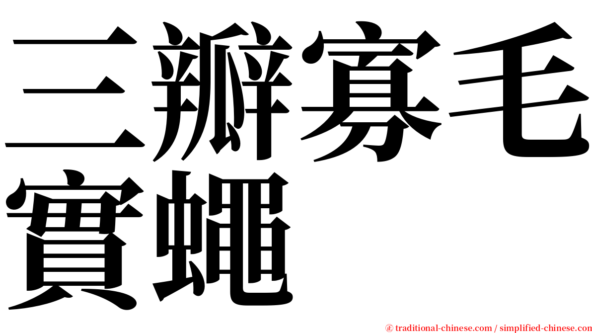 三瓣寡毛實蠅 serif font