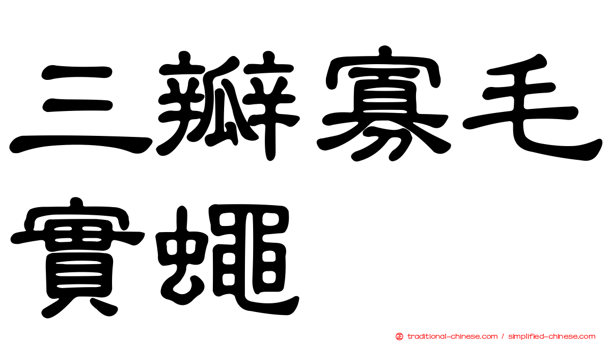 三瓣寡毛實蠅