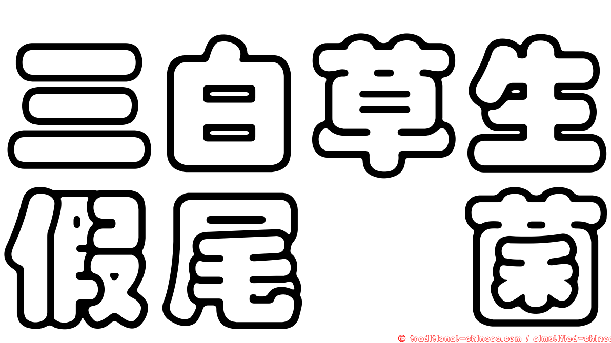 三白草生假尾孢菌