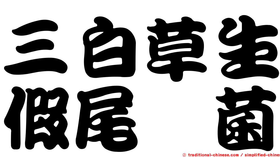 三白草生假尾孢菌