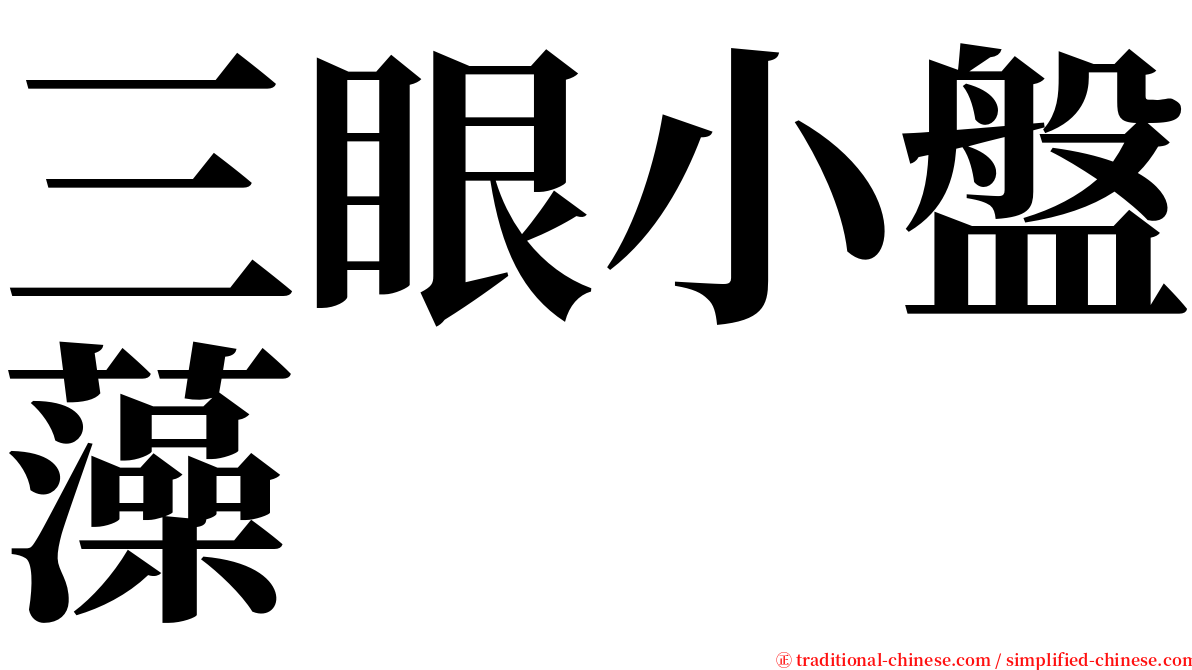 三眼小盤藻 serif font