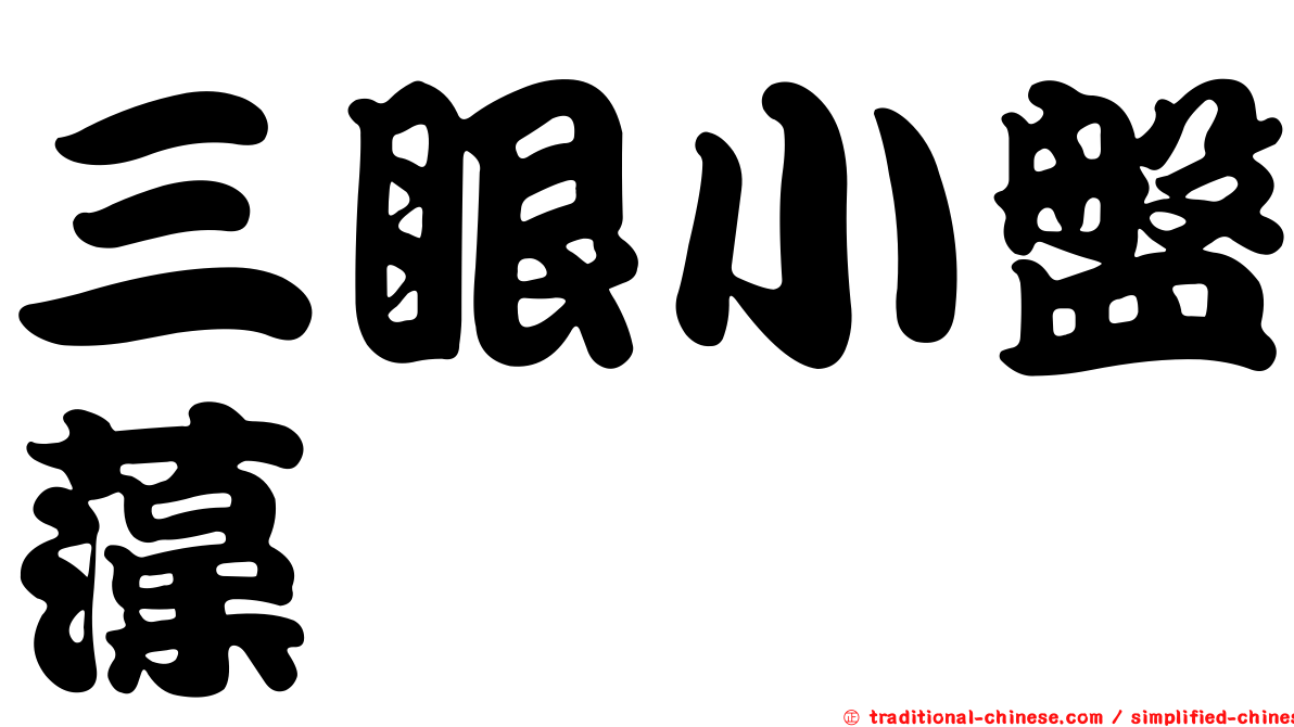 三眼小盤藻