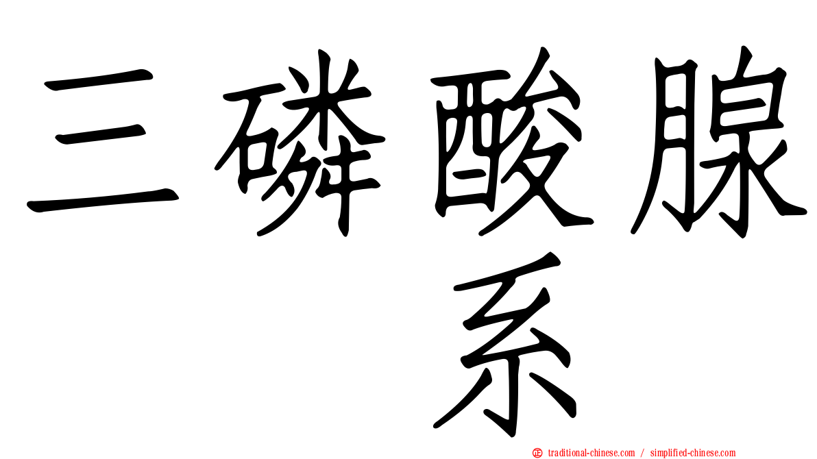 三磷酸腺苷酶系