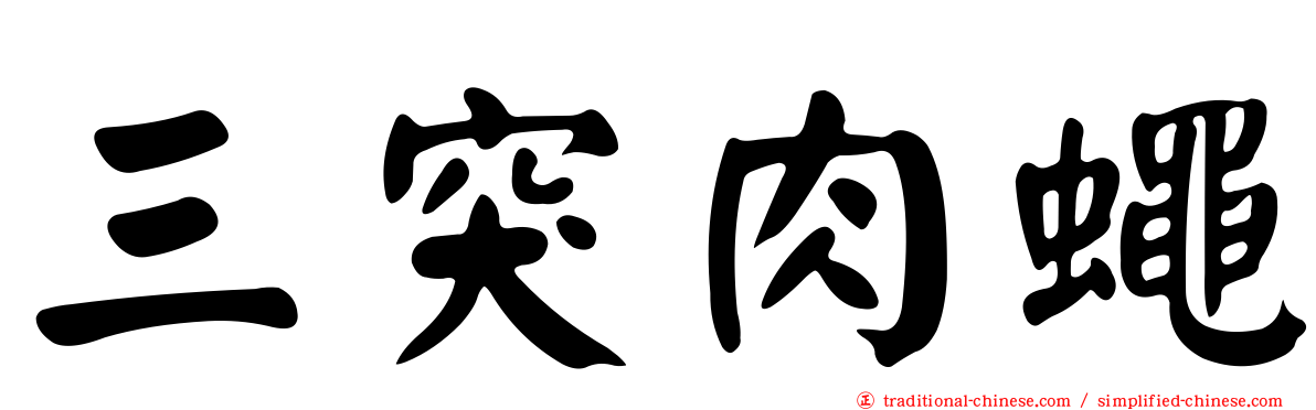 三突肉蠅