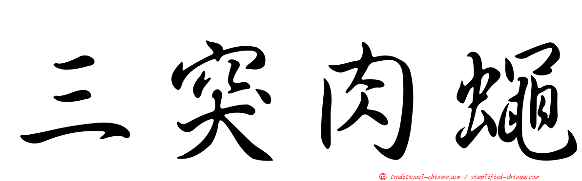 三突肉蠅