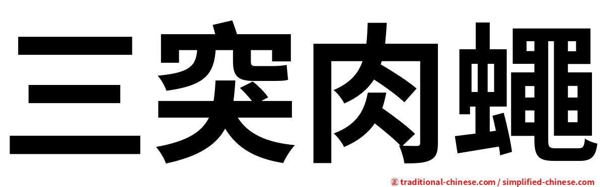 三突肉蠅