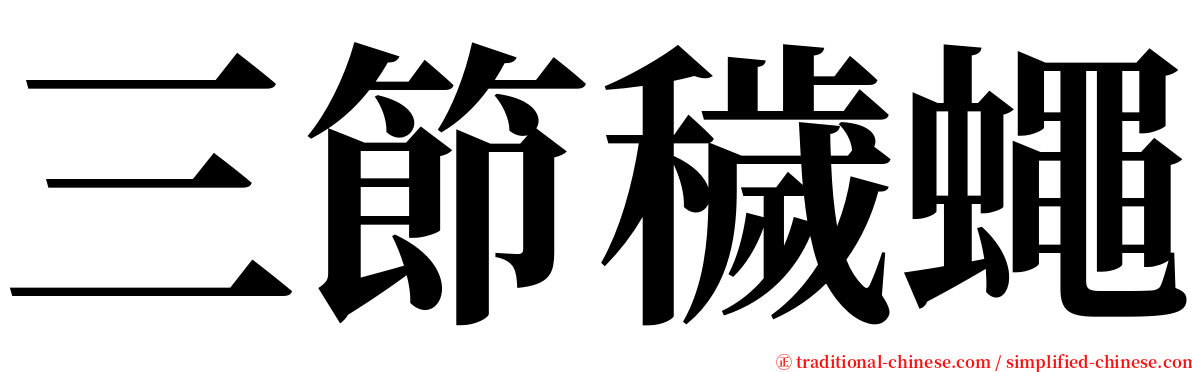 三節穢蠅 serif font