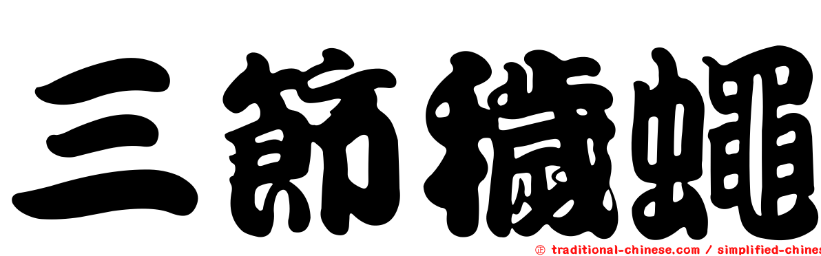 三節穢蠅