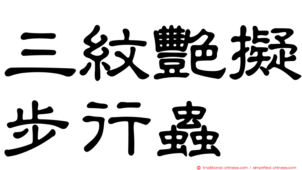 三紋艷擬步行蟲
