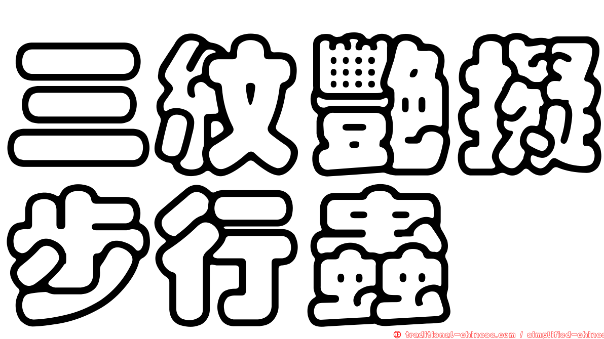 三紋艷擬步行蟲
