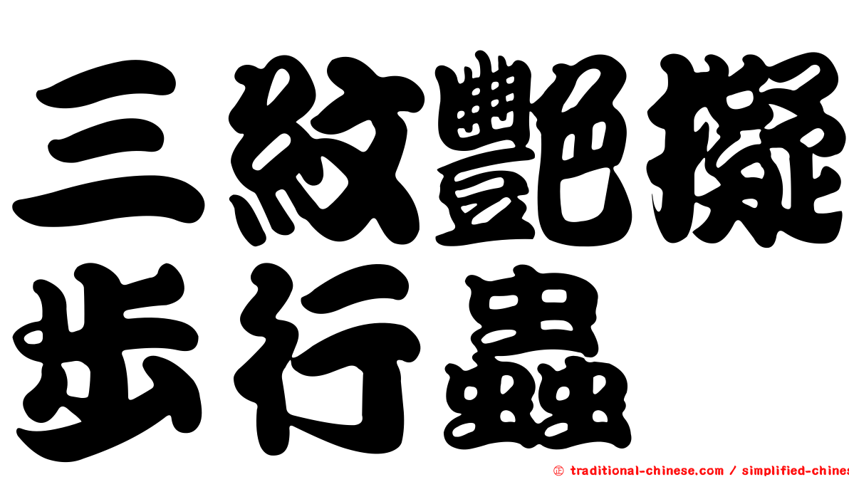 三紋艷擬步行蟲