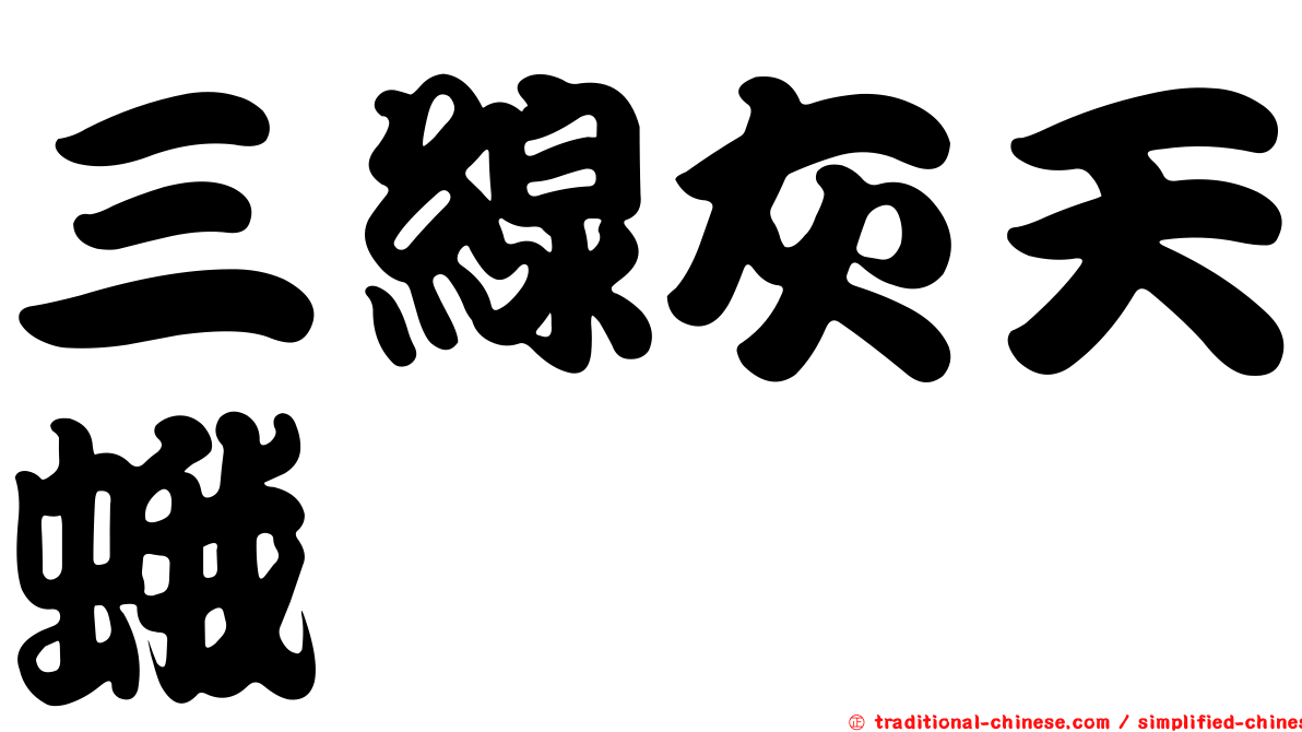 三線灰天蛾
