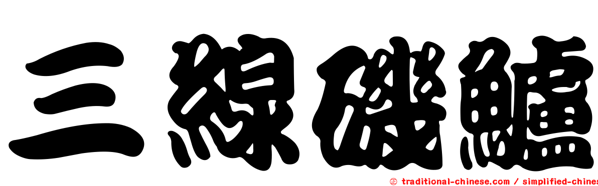 三線磯鱸