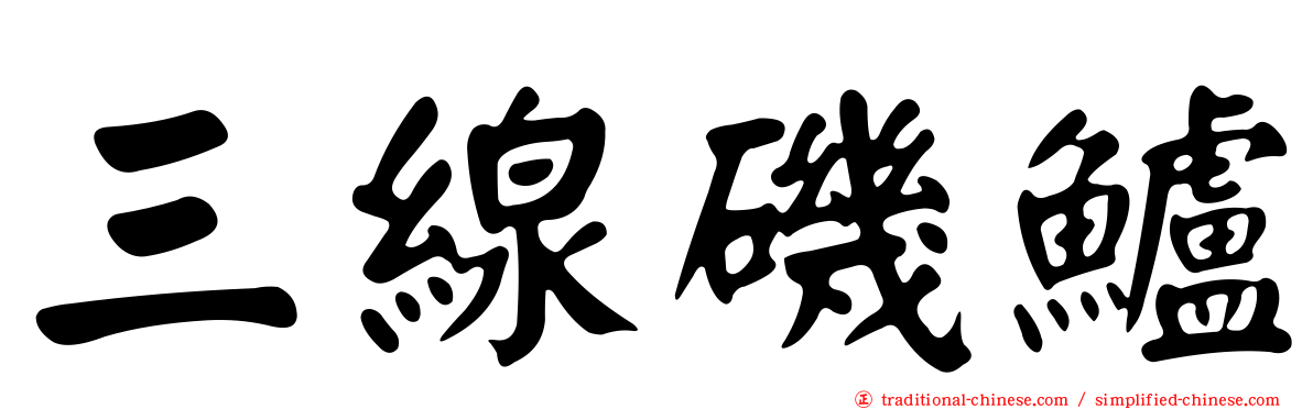 三線磯鱸